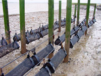 遠浅に設置したライン