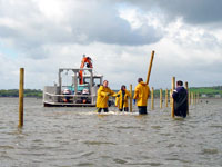 杭を設置する様子
