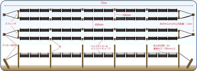 ロングライン（100mライン）の配置レイアウト